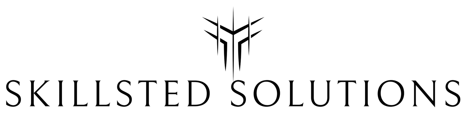 Skillsted Solutions
